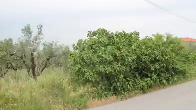 Commercial Plot for sale, Thessaloniki, Epanomi, Thessaloniki