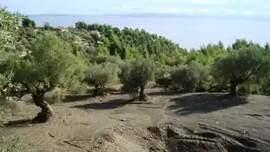 Działka komercyjna na sprzedaż, Halkidiki, Sithonia, Halkidiki