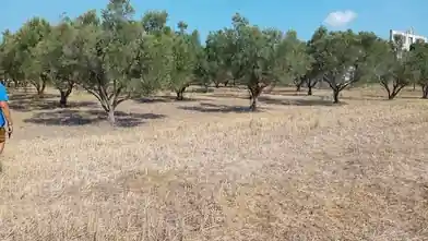 Commercial Plot for sale, Halkidiki, Kallikrateia, Kampos