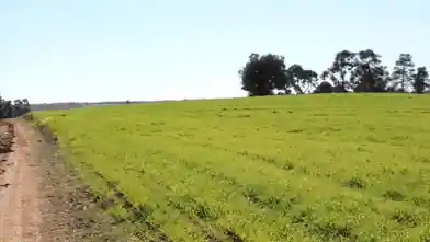 Առևտրային հողամաս վաճառքիHalkidikiում, Halkidikiում