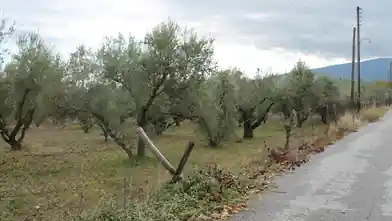Commercial Plot for sale, Pieria, Anatolikos Olimpos, Pieria