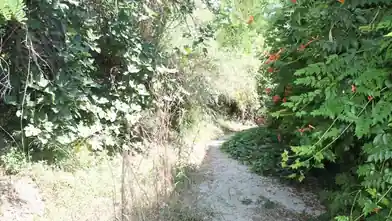 Commercial Plot for sale, Halkidiki, Polychrono