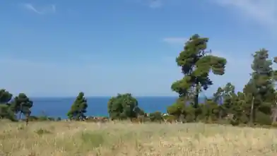 Commercial Plot for sale, Halkidiki, Nea Skioni, Halkidiki