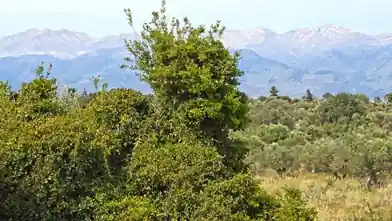 Commercial Plot for sale, Chania, Vamos Chania, Chania