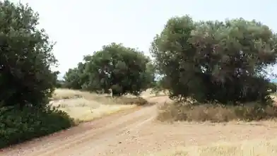 Działka komercyjna na sprzedaż, Chalkidiki, Poligiros, Chalkidiki