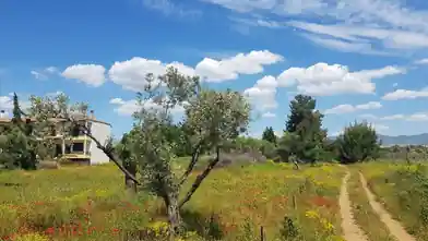 Commercial Plot for sale, Halkidiki, Yerakini, Halkidiki