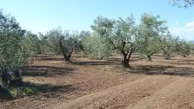 Commercial Plot for sale, Halkidiki, Kallikrateia, Halkidiki