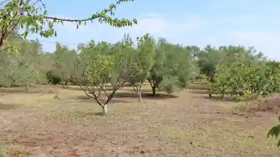 Działka komercyjna na sprzedaż, Pieria, Makrygialos, Pieria