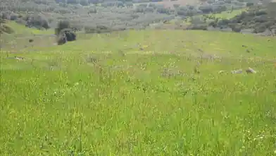 Commercial Plot for sale, Chalkidiki, Ormilia, Chalkidiki
