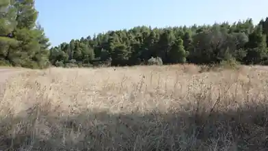 Εμπορικό οικόπεδο προς πώληση, Χαλκιδική, Σιθωνία, Χαλκιδική