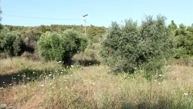 Commercial Plot for sale, Chalkidiki, Elia Nikitis, Lagomandra