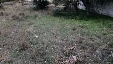 Commercial Plot for sale, East Attica Regional Unit, Kalyvia Thorikou, East Attica Regional Unit