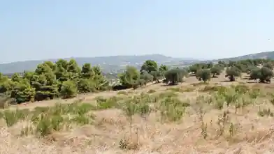Комерційна земельна ділянка на продаж, Halkidiki, Халкідіки, Halkidiki