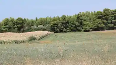 Commercial Plot for sale, Halkidiki, Moudania, Halkidiki