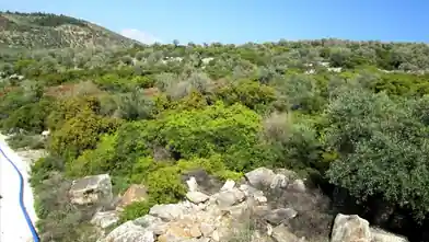 Działka komercyjna na sprzedaż, Jednostka regionalna Tasos, Tasos, Jednostka regionalna Thasos