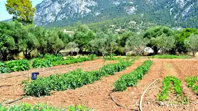 Commercial Plot for sale, Corinthia, Loutraki-Perachora, Corinthia