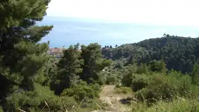 Działka komercyjna na sprzedaż, Halkidiki, Półwysep Chalcydycki, Halkidiki