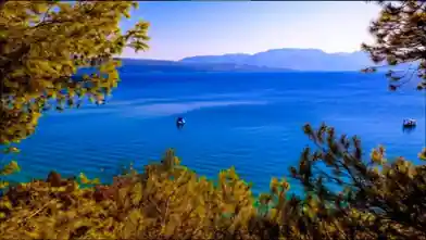 Commercial Plot for sale, Fthiotida, Μαλεσίνα, Ο.Σ.Μ.Α.Ε.Σ