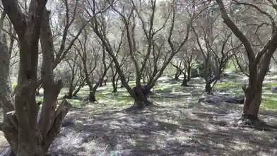 Commercial Plot for sale, Kerkira, Lefkimmi, Kerkira