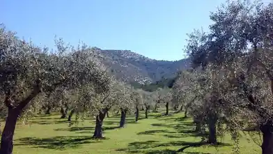 Commercial Plot for sale, Thasos Regional Unit, Thasos, Thasos Regional Unit
