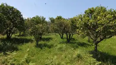 Commercial Plot for sale, Kerkira, Astrakeri, Kerkira
