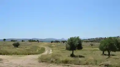 Commercial Plot for sale, East Attica Regional Unit, Spata, East Attica Regional Unit