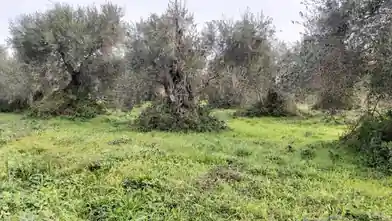 Commercial Plot for sale, Kerkira, Roda, Kerkira