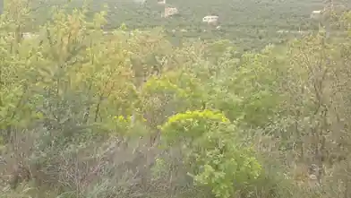 Commercial Plot for sale, Ilia, Skillounta, Ilia