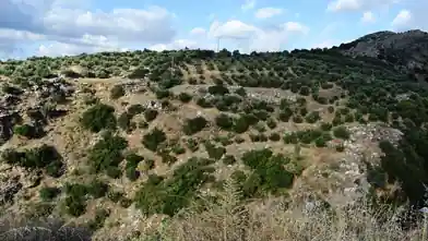 Commercial Plot for sale, Lakonia, Anogia, Rethimno