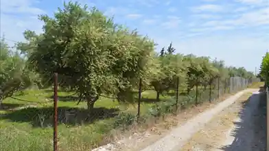 Commercial Plot for sale, Korinthia, Kato Assos, Korinthia