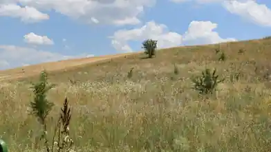 Commercial Plot for sale, North Athens Regional Unit, Agia Paraskevi, Thessaloniki