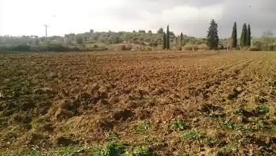 Εμπορικό οικόπεδο προς πώληση, Χαλκιδική, Χαλκιδική