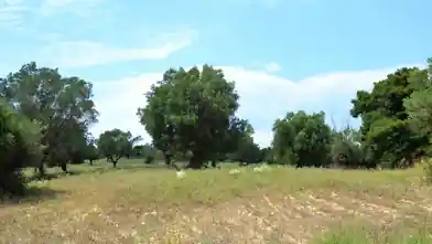 Commercial Plot for sale, Halkidiki, Halkidiki