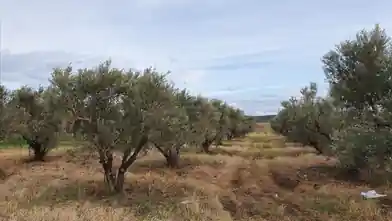 Commercial Plot for sale, Halkidiki, Moudania, Halkidiki