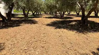 Commercial Plot for sale, Heraklion, Nikos Kazantzakis, Heraklion