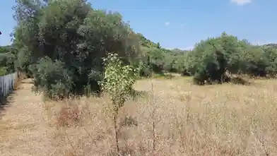 Commercial Plot for sale, East Attica Regional Unit, Municipality of Pallini, Chalkidiki