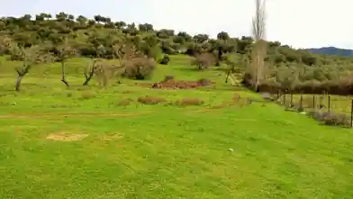 Działka komercyjna na sprzedaż, Chalkidiki, Toroni, Chalkidiki