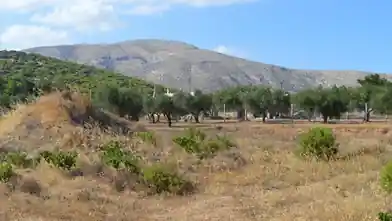 Commercial Plot for sale, Anatoli Attiki, Keratea