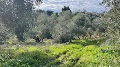 Działka komercyjna na sprzedaż, Corfu, Korfu