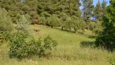 Комерційна земельна ділянка на продаж, Halkidiki, Халкідіки, Halkidiki