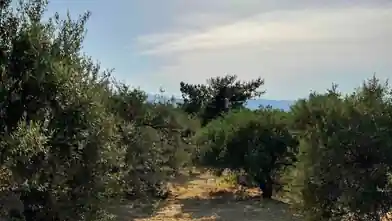 Commercial Plot for sale, Heraklion, Nikos Kazantzakis, Heraklion