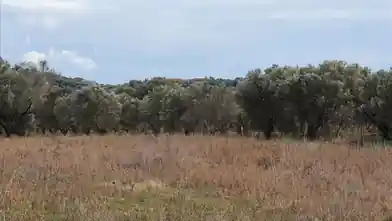 Առևտրային հողամաս վաճառքիHalkidikiում, Moudaniaում, Halkidikiում
