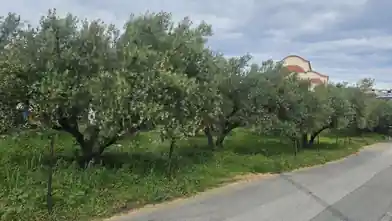 Działka komercyjna na sprzedaż, Heraklion, Chersonissos