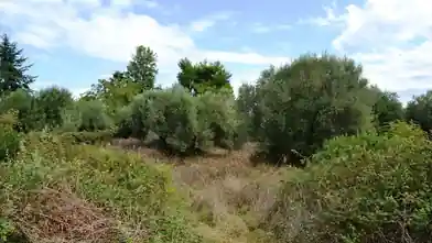 Commercial Plot for sale, Halkidiki, Halkidiki
