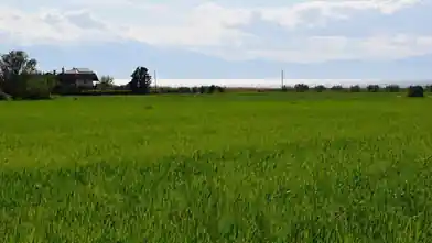 Commercial Plot for sale, Thessaloniki, Epanomi, Thessaloniki