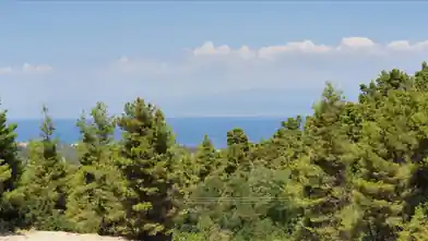 Commercial Plot for sale, East Attica Regional Unit, Municipality of Pallini, Chalkidiki