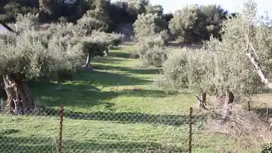 Commercial Plot for sale, Halkidiki, Nea Skioni, Chalkidiki