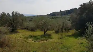 Առևտրային հողամաս վաճառքիHalkidikiում, Sithoniaում, Halkidikiում