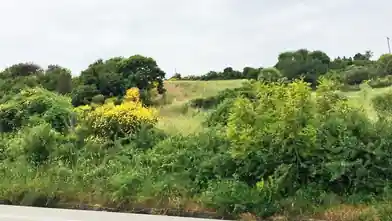 Commercial Plot for sale, Chalkidiki, Stagira Akanthos, Chalkidiki
