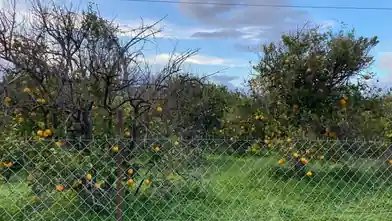 Commercial Plot for sale, Chania, Theriso, Chania